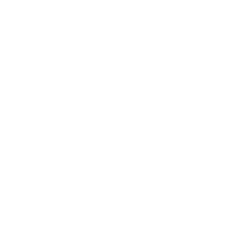 An quote mark icon
